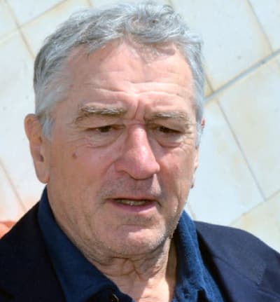 Robert De Niro Image