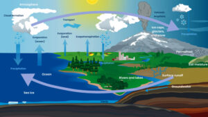 The Water Cycle